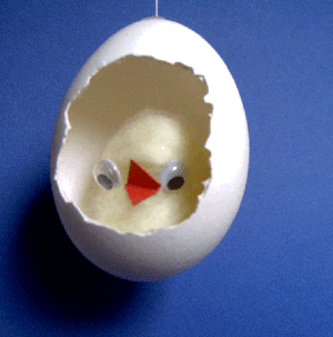 Kücken Im Ei